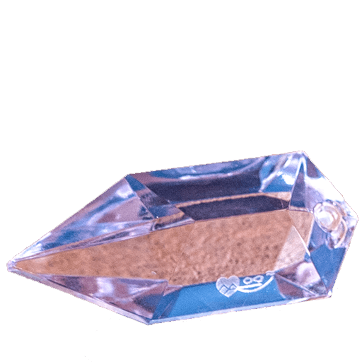Quiz image